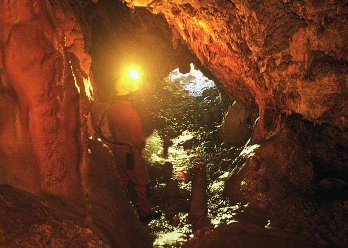 Cueva de las Excentricas. Igualeja